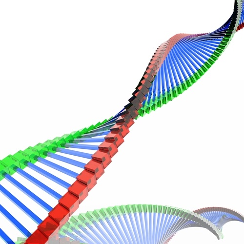 生物学的 dna の無料ストック写真 2.82 MB の高品質画像