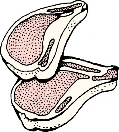 ポーク チョップ クリップアート ベクター クリップ アート - 無料ベクター
