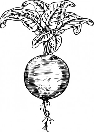 ビート クリップアート ベクター クリップ アート - 無料ベクター