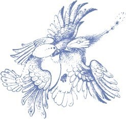 鳥無料ベクター 692.81 KB