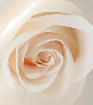 ローズ無料ベクター 540.50 KB