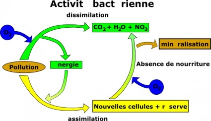 汚染除去クリップアート ベクター クリップ アート - 無料ベクター