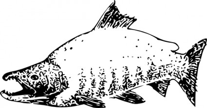 紅鮭クリップアート ベクター クリップ アート - 無料ベクター