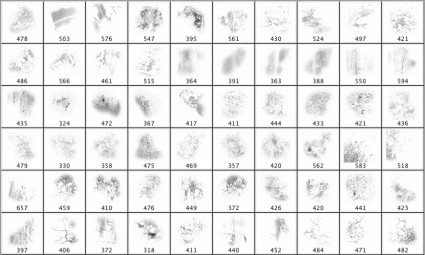 グランジ ブラシ 8 Photoshop のブラシ 無料素材イラスト ベクターのフリーデザイナー