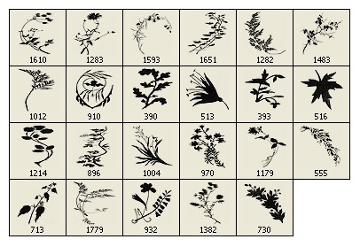 植物な Photoshop のブラシ photoshop のブラシ