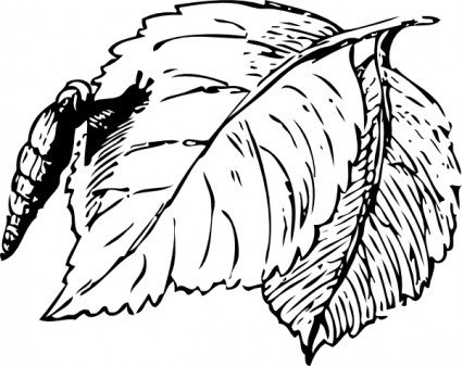 カタツムリ クリップアート ベクター クリップ アート - 無料ベクター