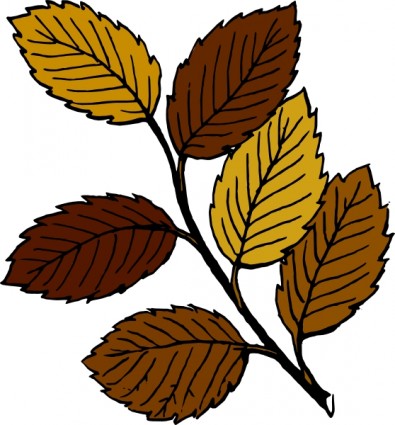 秋の葉枝クリップアートにベクター クリップ アート - 無料ベクター
