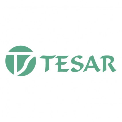 Tesar 無料ベクター 23.34 KB