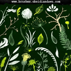 葉スケッチ ブラシ photoshop のブラシ