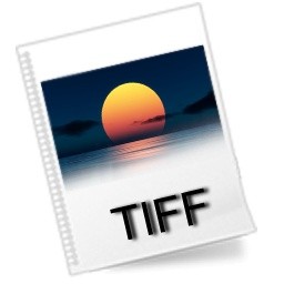 Tiff ファイルのアイコン 無料のアイコン 無料素材イラスト ベクターのフリーデザイナー