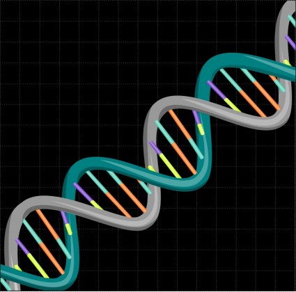 Dna 無料ベクター 194 19 Kb 無料素材イラスト ベクターのフリーデザイナー