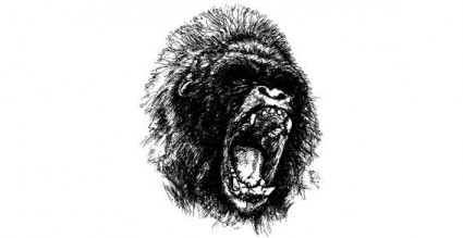 チンパンジーのベクター ベクター動物 - 無料ベクター