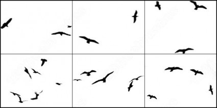 6 鳥ブラシ photoshop のブラシ