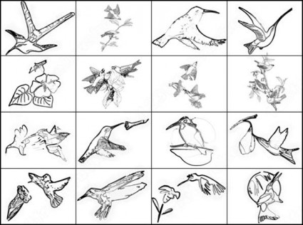 ハミング鳥ブラシ photoshop のブラシ