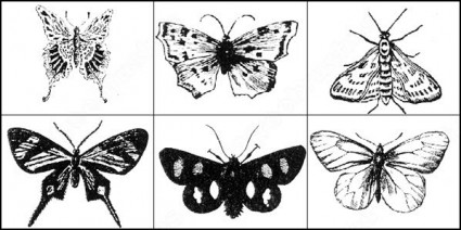 蝶ブラシ photoshop のブラシの 3 番目の割賦