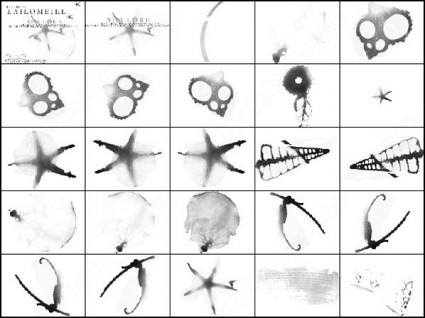 海の伝承の photoshop のブラシ photoshop のブラシ