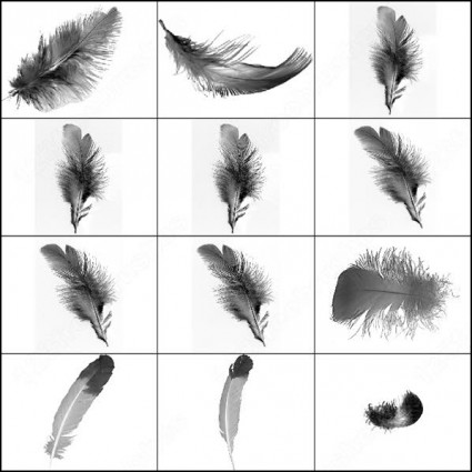 羽ブラシ photoshop のブラシ