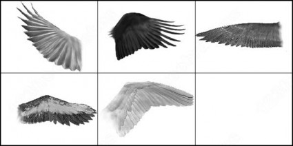 5 の異なる photoshop cs2 のブラシ photoshop のブラシを翼します。