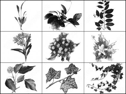 紅葉ブラシ photoshop のブラシ