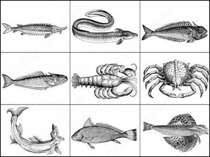 海の動物は photoshop のブラシをブラシします。