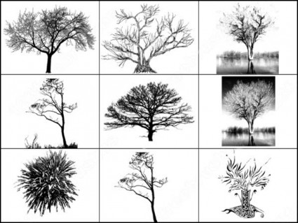 9 木のブラシ Photoshop のブラシ 無料素材イラスト ベクターのフリーデザイナー