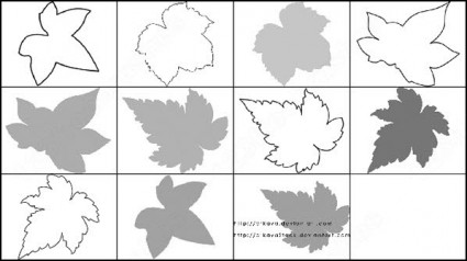 11 個葉ブラシ photoshop のブラシのセット
