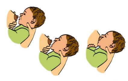 ミルクの天然のボトルのベクターの他無料ベクター