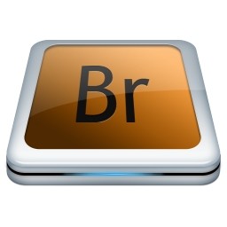 Adobe Br 無料アイコン 59.97 KB