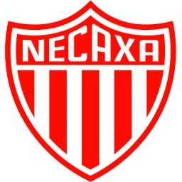 Necaxa 無料アイコン 57.05 KB