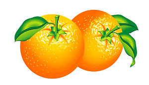 オレンジ色のベクター