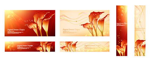 カラーを夢します。