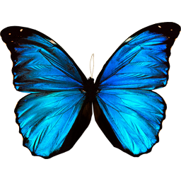 透明な png 形式のアイコンの蝶シリーズ