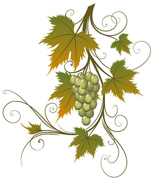 ベクター材料ブドウ