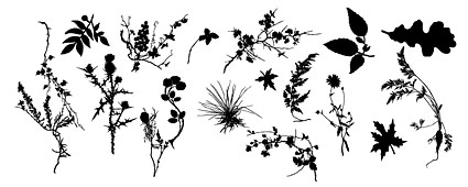 写真でベクター工場