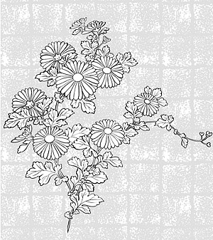 ベクター線画花 37 Chrysanthemum Background の 無料素材イラスト ベクターのフリーデザイナー
