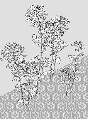ベクター線画花 39(Chrysanthemum, background) の