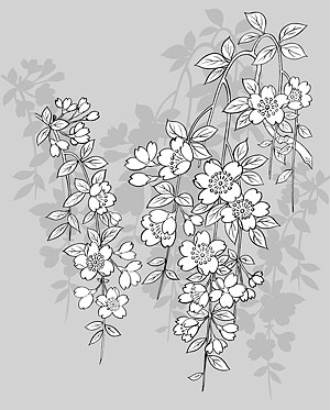 Flowers-43(Sakura) のベクター線の描画