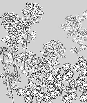 ベクター線画花 27 Wild Chrysanthemum の 無料素材イラスト ベクターのフリーデザイナー
