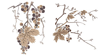 インク スタイル ブドウ