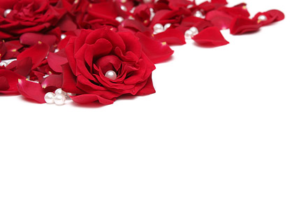 パールの赤いバラの花びら