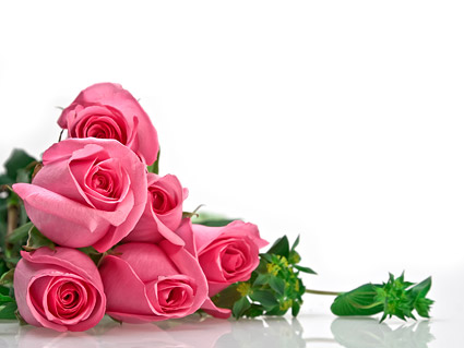 画像素材のピンクのバラの花束