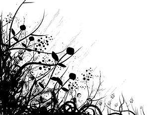 黒と白のファッション ベクター植物材料