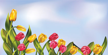 チューリップと空