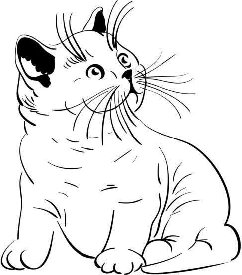 動物猫 05 ベクター無料ベクター 325.35 KB