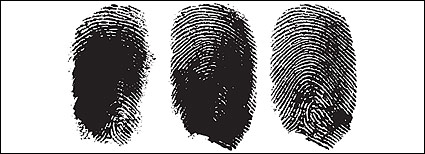 指の指紋のベクター素材