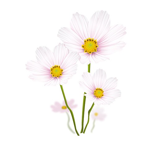 エレガントな白い花ベクター材料 無料素材イラスト ベクターのフリーデザイナー