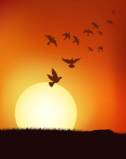 夕日ベクトル材料の下の鳥の個体数
