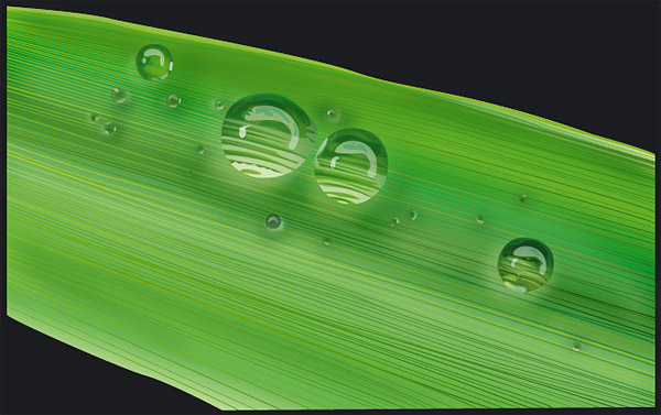 水の葉ベクター素材-1