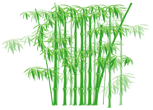 グリーン竹のベクター素材 無料素材イラスト ベクターのフリーデザイナー