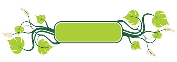 籐植物材料要素ベクター